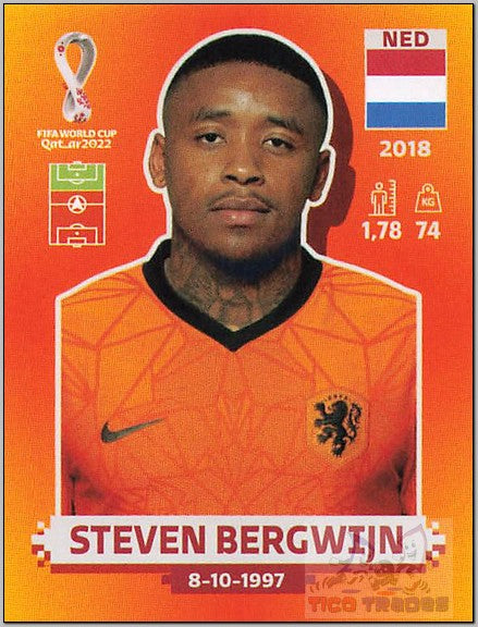 Orange - NED15 Steven Bergwijn  Panini   